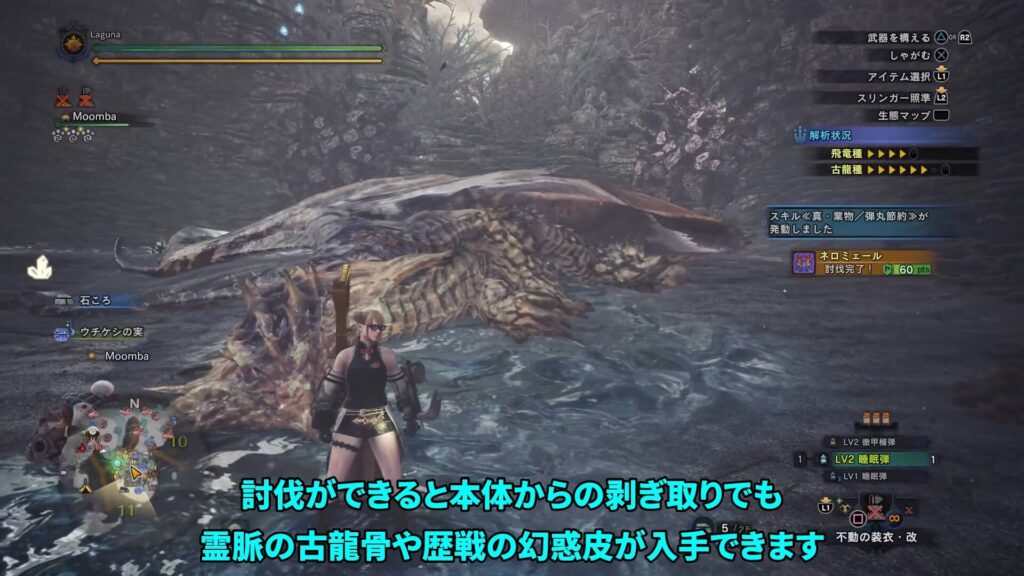 iceborne-item-guide-2の紹介画像13