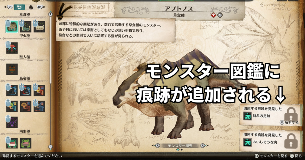 モンスター図鑑の痕跡（アズラル領域～灰の道）