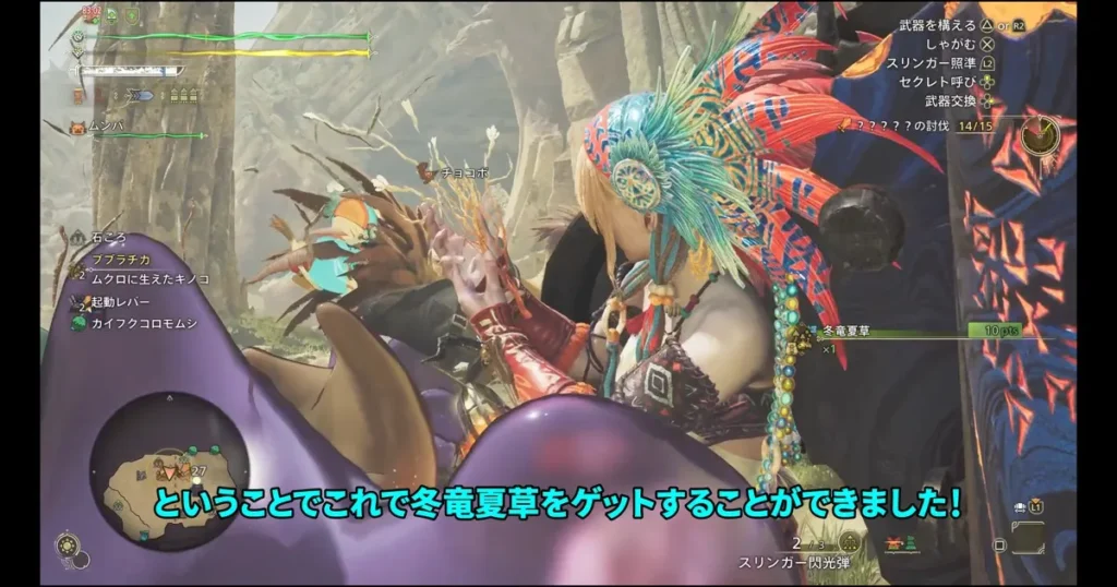 冬竜夏草を入手