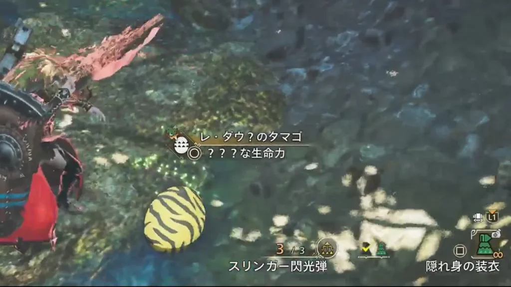 隠れ身の装衣を使用する