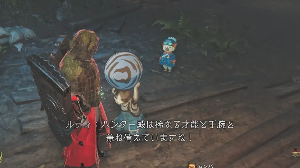 ベースキャンプに運ぶとルディに褒められる