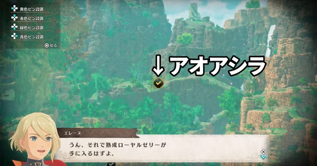 アオアシラ位置