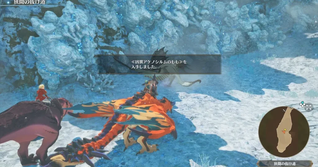 凶異アケノシルムのもも入手