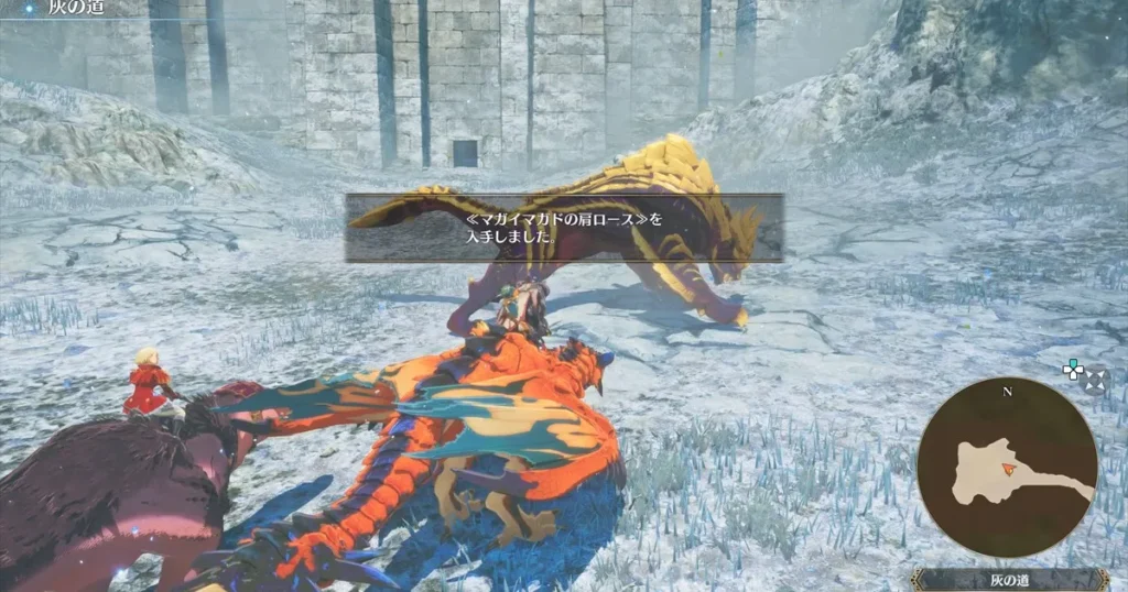 マガイマガドの肩ロース入手