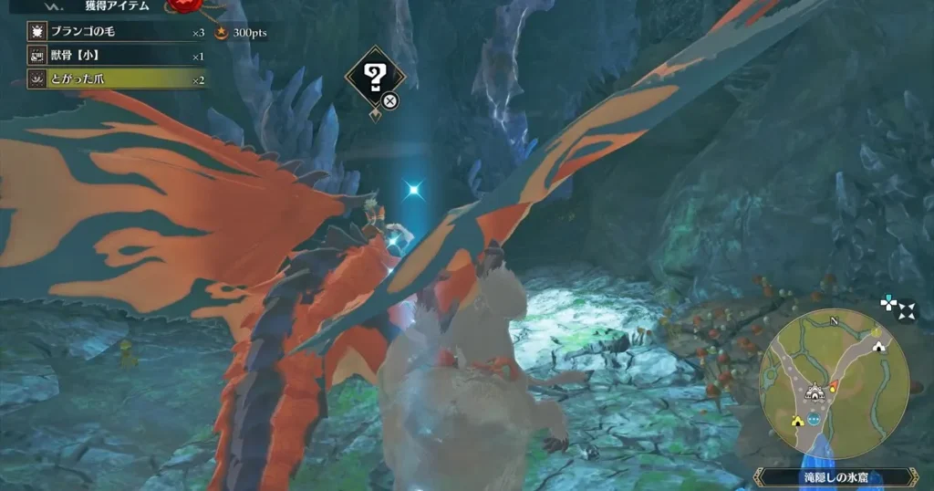 滝隠しの氷窟で痕跡を拾う2