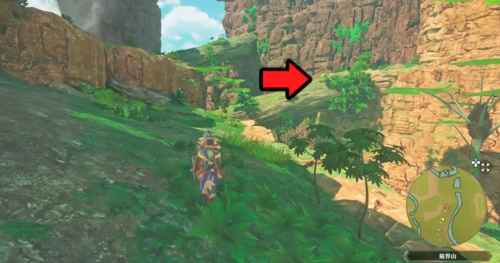 巨木の上を進む