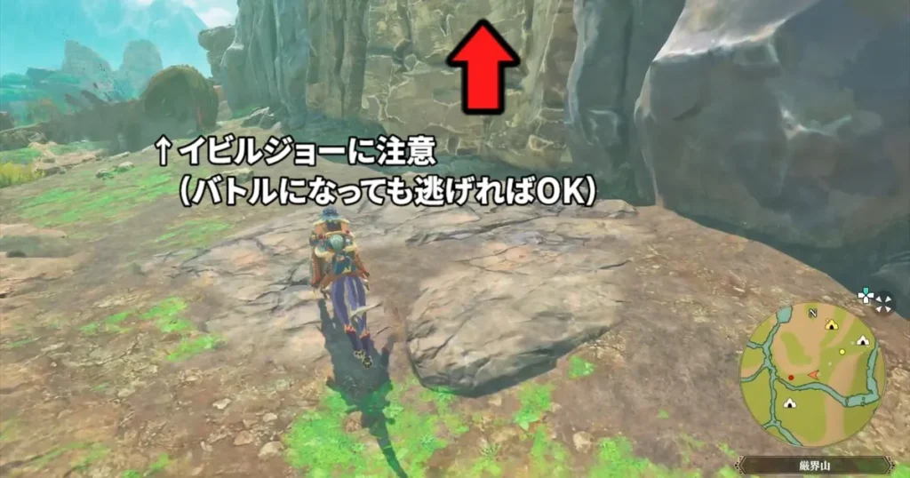 近くにイビルジョーがいる壁を登る