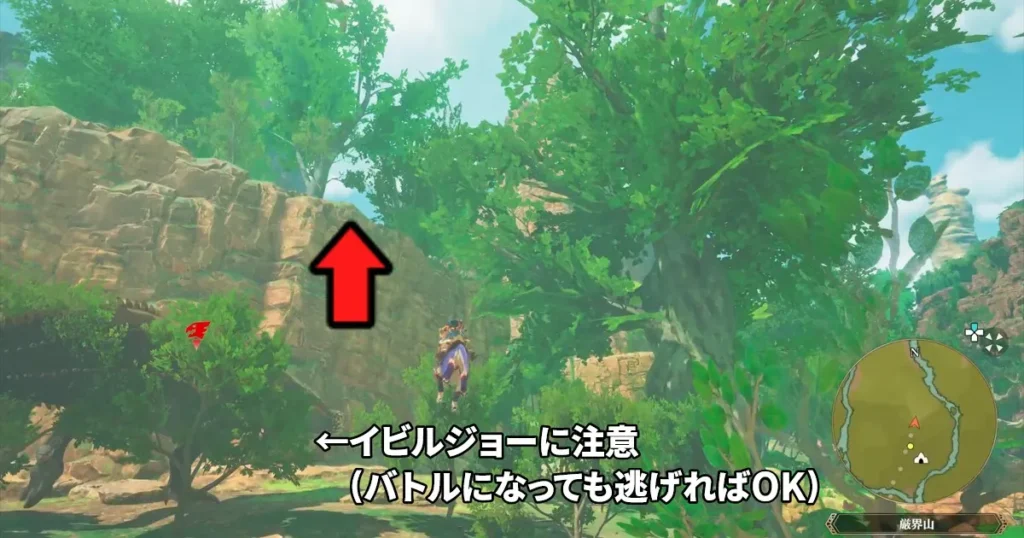 近くにイビルジョーがいる壁を登る