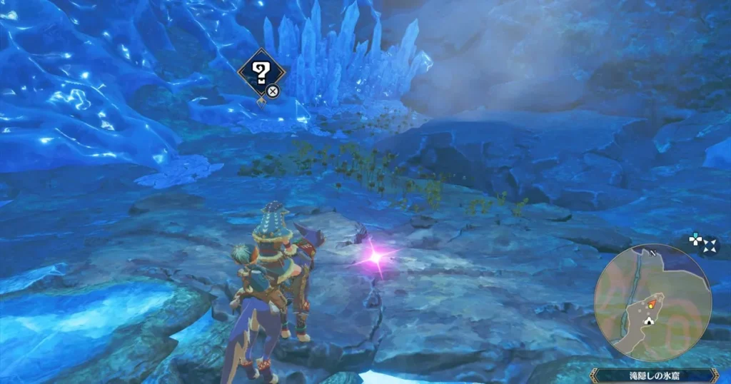 よく冷えた袋:イソネミクニ亜種