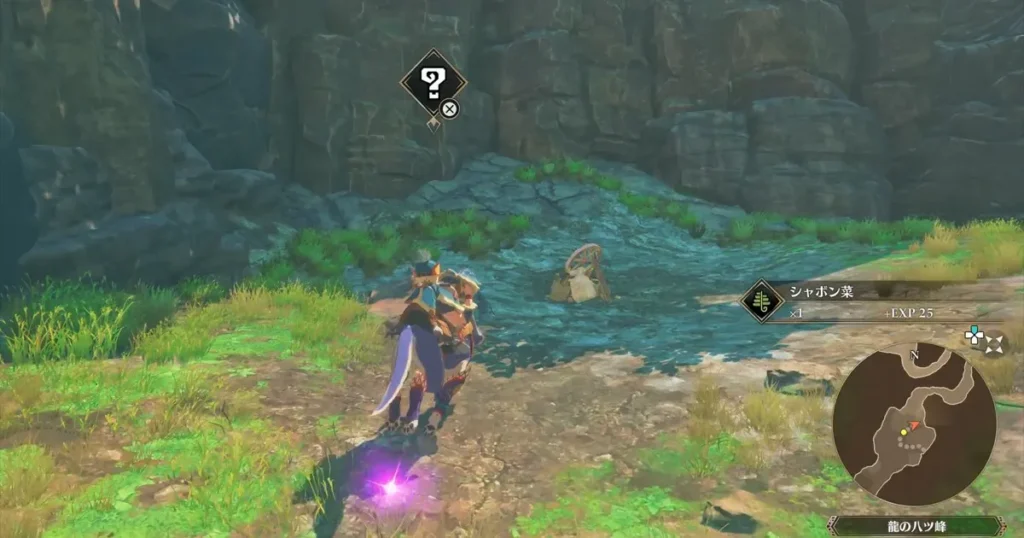 投げやすそうな石:ガーグァ