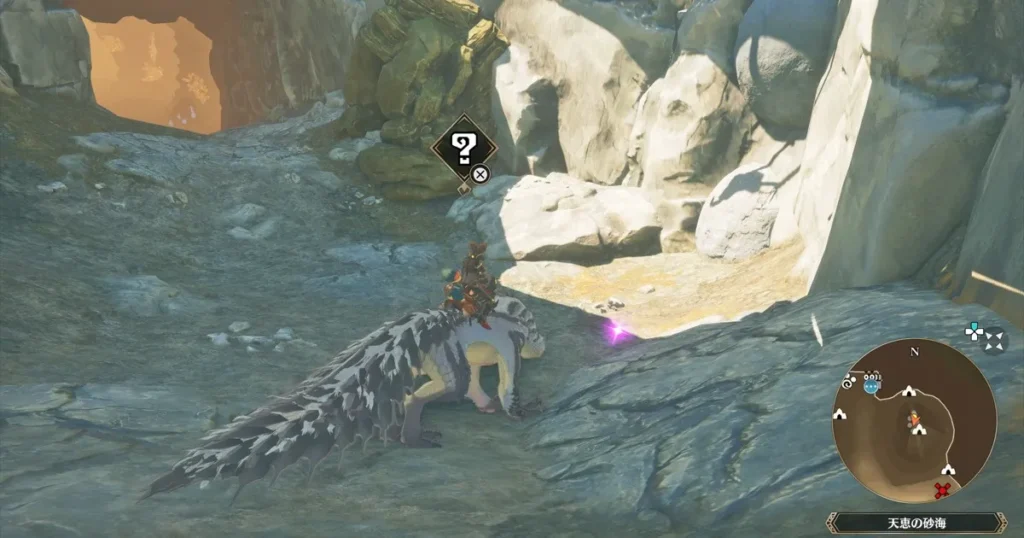 飛竜種の頭蓋骨：ショウグンギザミ