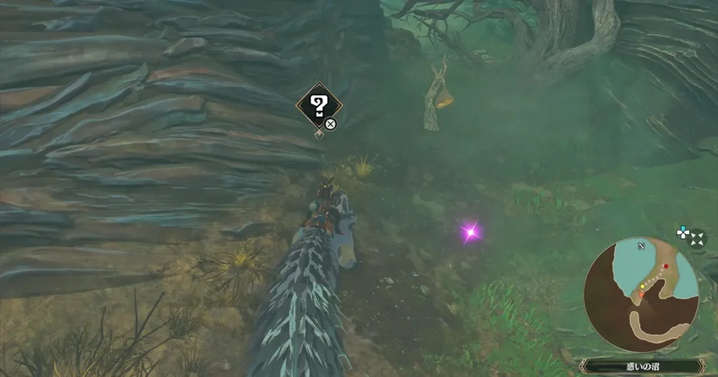 小さなハサミ：ガミザミ