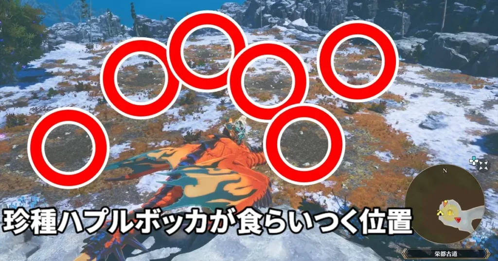 珍種ハプルボッカが食らいつく場所