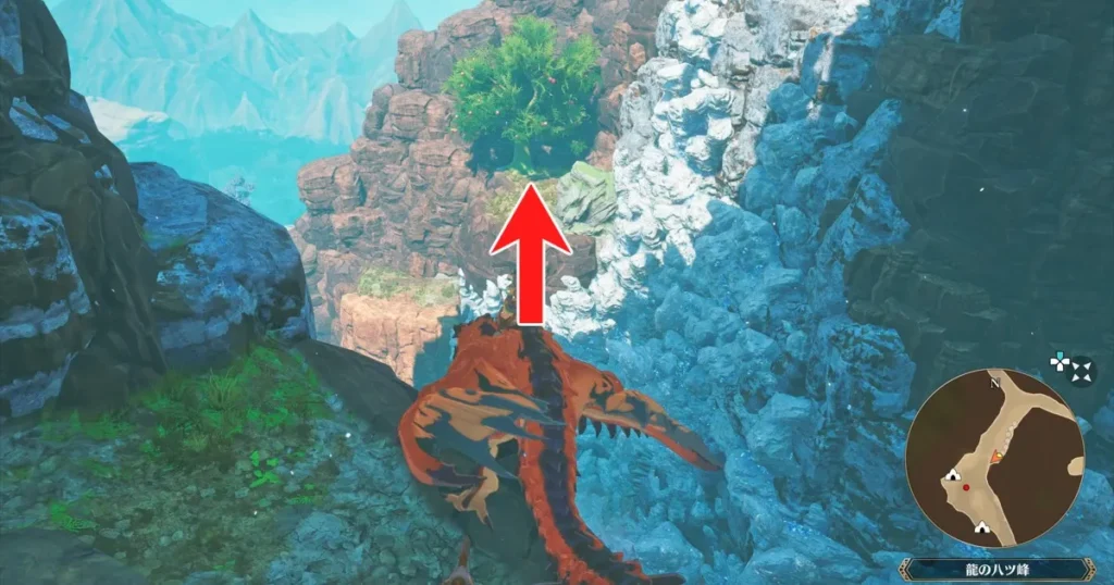 龍の八ツ峰のプーギー2の行き方