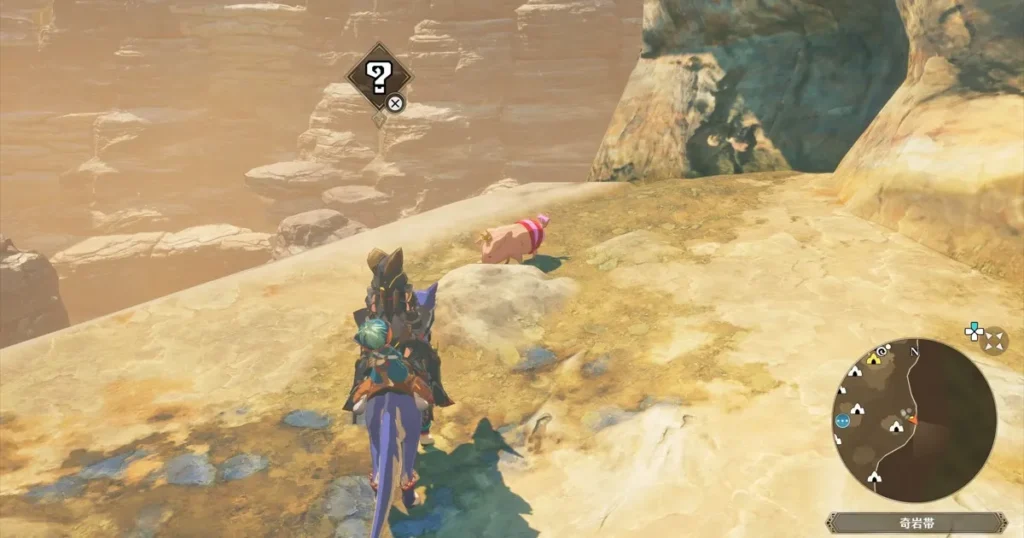 タキルカン：プーギー14