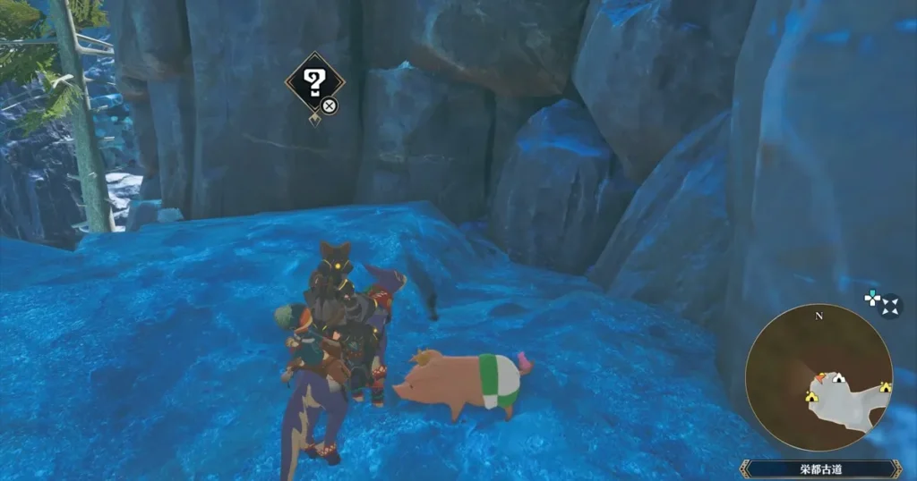 サンティア：プーギー11