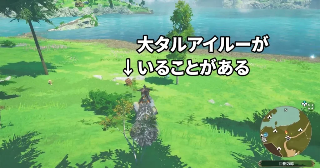 ネコタク：古戦場から進むと大タルアイルーがいることがある