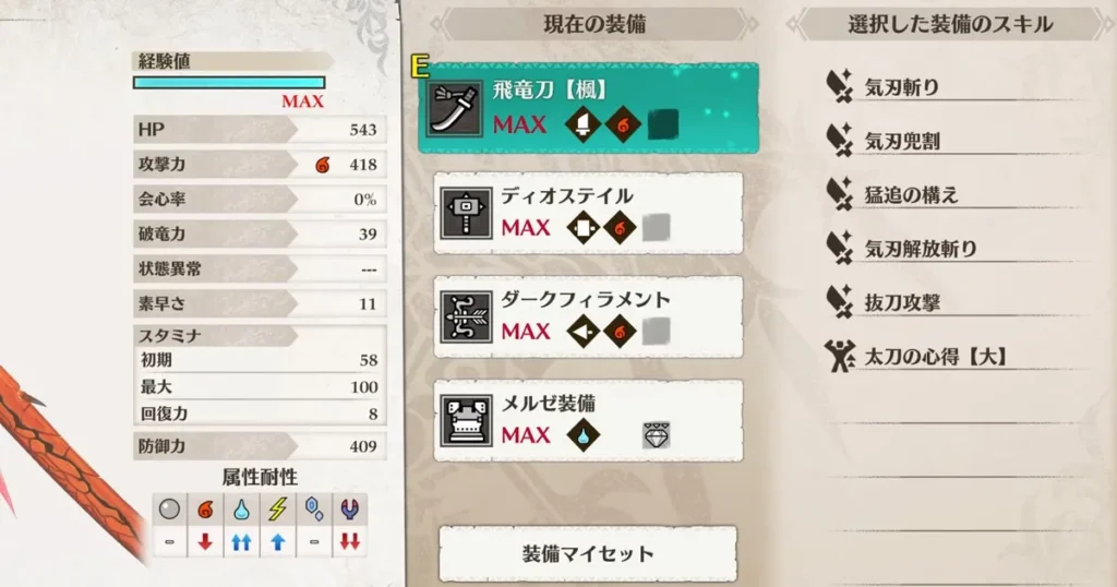 ネロミェール初討伐時の主人公の装備