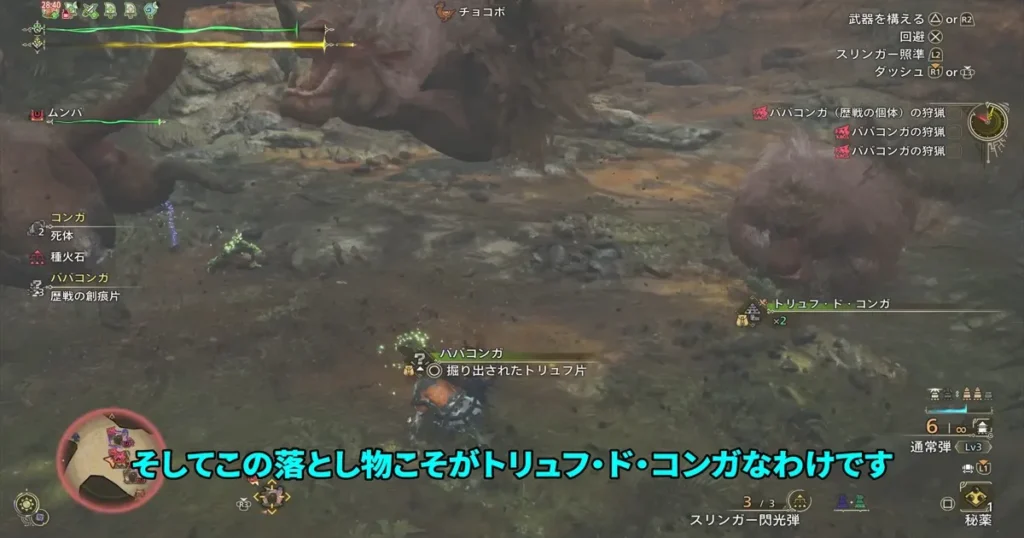 トリュフ・ド・コンガを拾う
