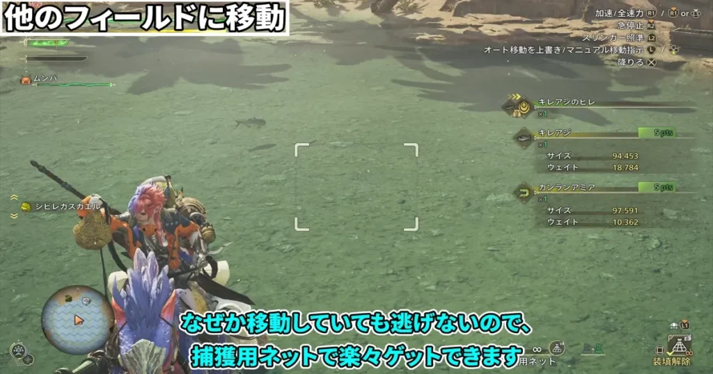 隔ての砂原のオアシスで魚を捕獲