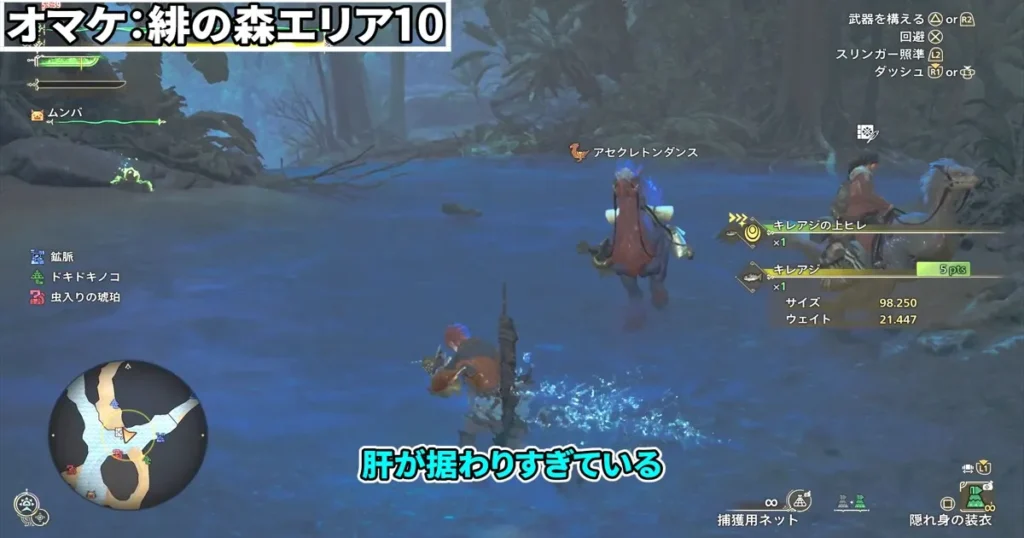 川にいる魚を捕獲