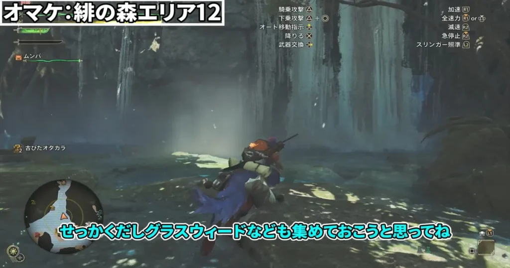滝が流れている場所に向かい中に入る