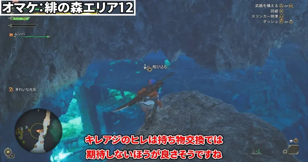 水中に潜る