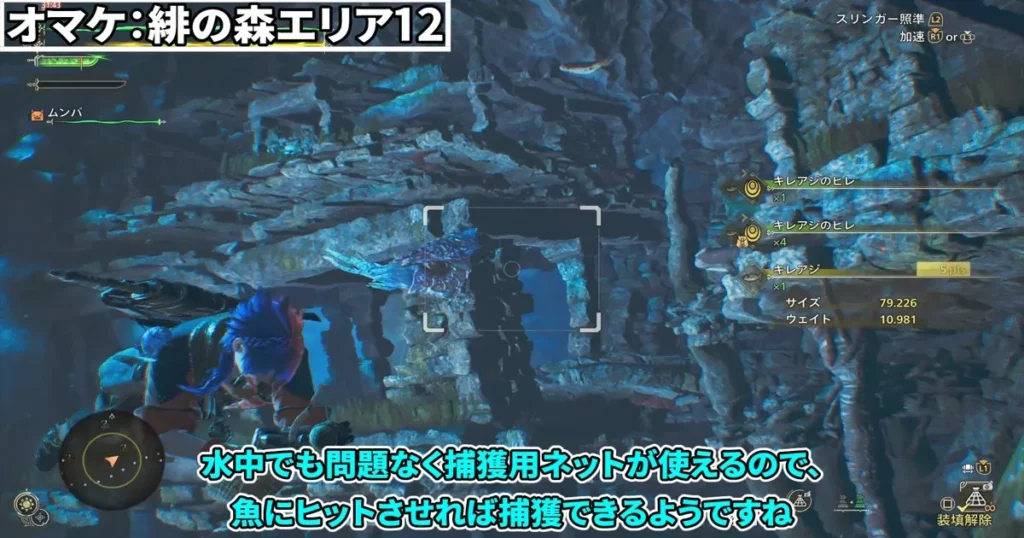 水中で魚を捕獲