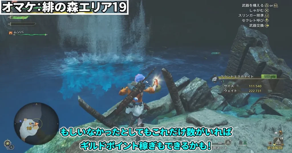 エリア19で魚を捕獲